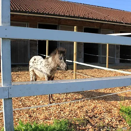 Landgut Edelweiss Bed & Breakfast