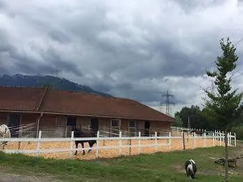 Alojamento de Acomodação e Pequeno-almoço Landgut Edelweiss Kaprun